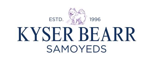 Kyser Bearr Samoyeds